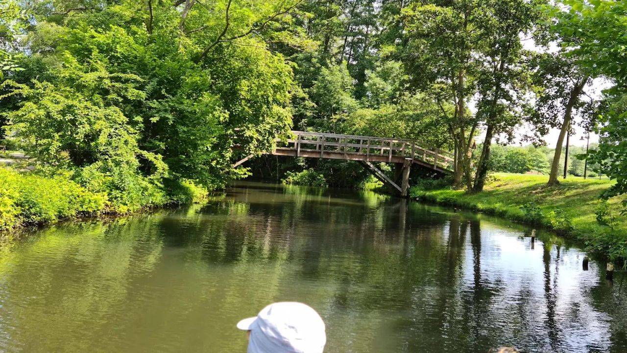 AreaSummer5KM AreaSummer5KM